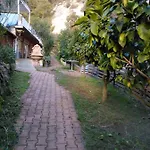 Oasis شاليه