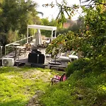 Oasis *