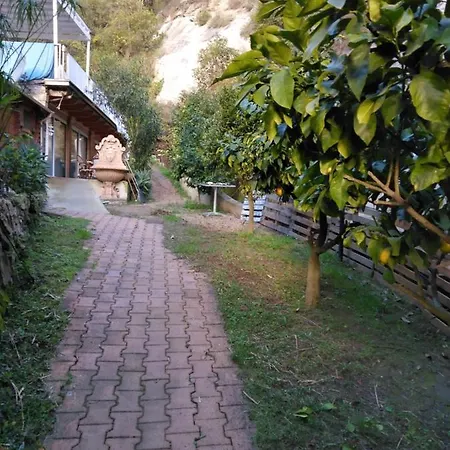 Oasis Alpehytte